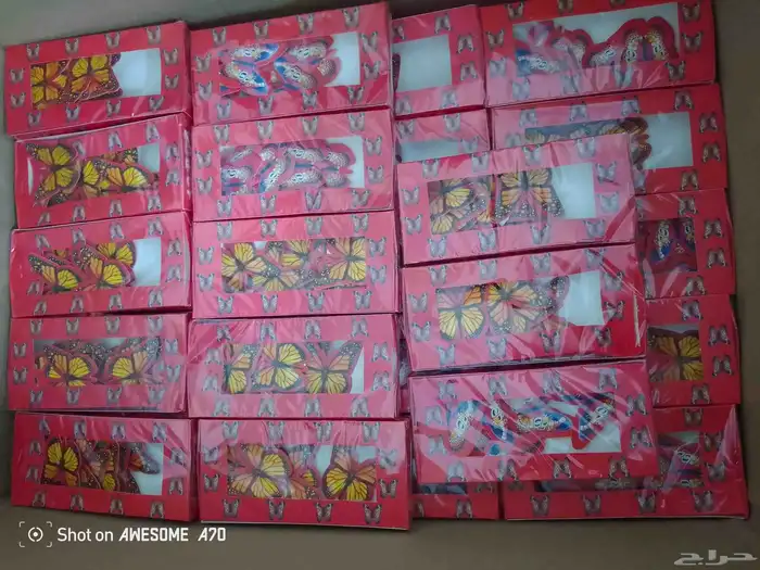 طراطيع .جمله .وقطاعي 16