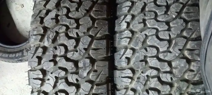 السلام عليكم ورحمه الله وبركاته لدينا كفرات نص حجري ودواي 0