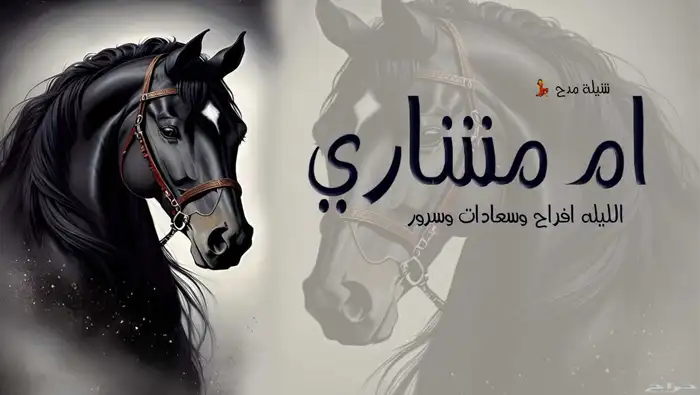 تنفيذ شيلات_ زفات  مواليد _تخرجات_ قصائد شعريه  سحب موسيقى 4