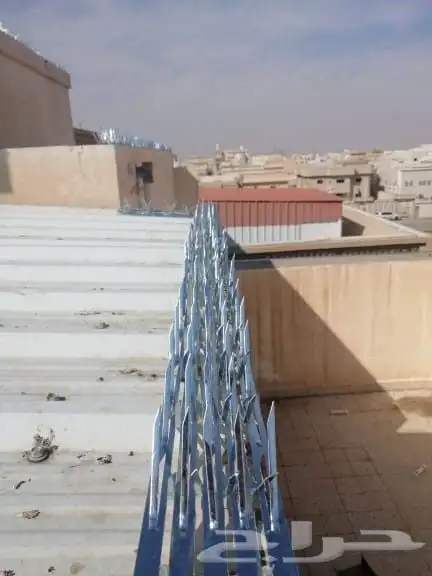 تركيب طارد للحمام الطيور 3