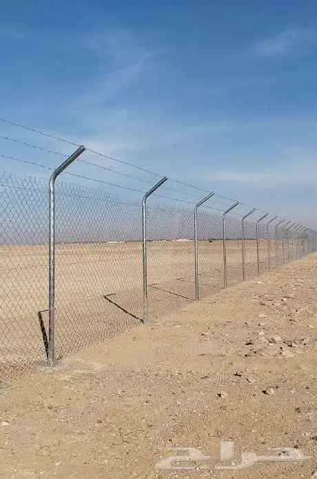 زراعه.النخيل.تركيب.شبوك 2