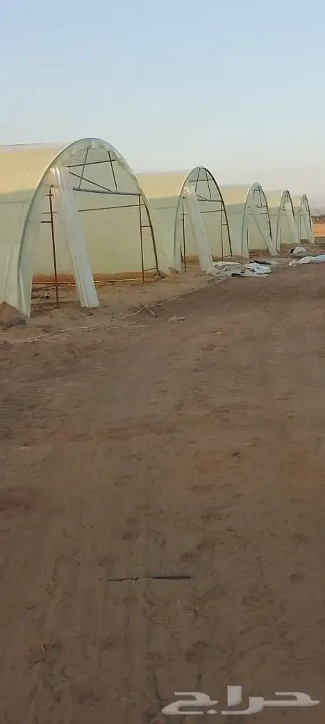 تنفيذ اعمال البيوت المحميه والصالات وأعمال الصيانه 2