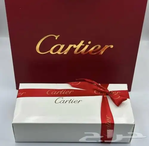 قلم كارتير بالاسم مع الملحقات 2