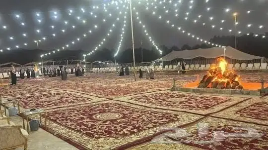 تاجير كراسي ملكي تاجير كراسي شفاف تاجير كراسي كنب ابيض و مخل 5