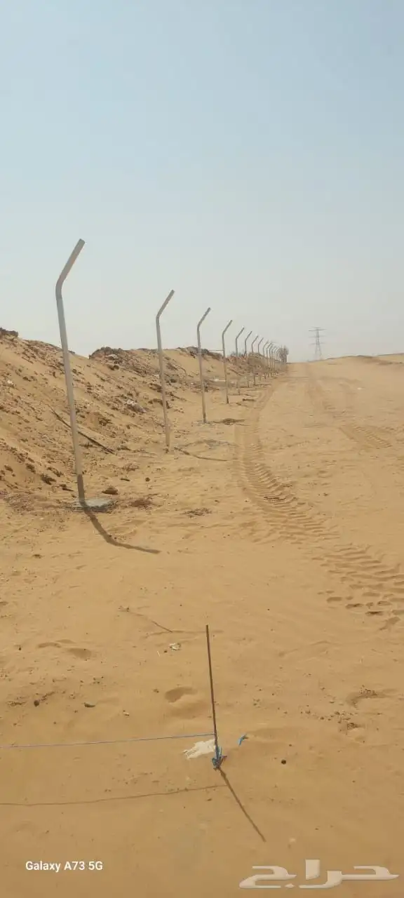 نخيل وتركيب شبواك 6