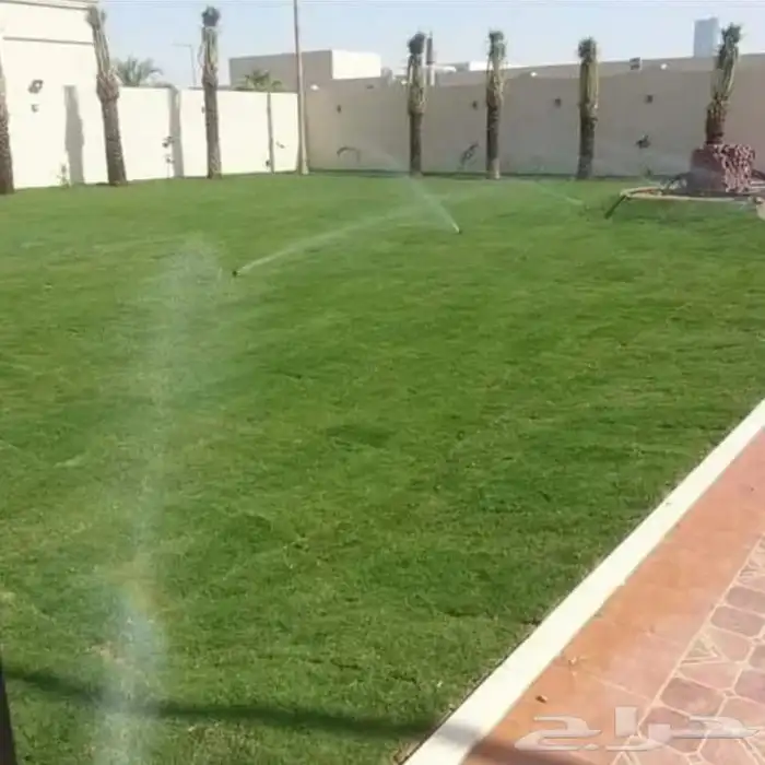 تنسيق حدائق القصيم 1