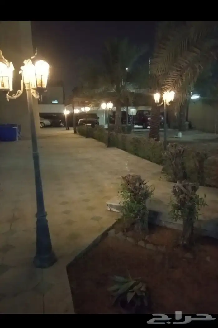 شغل ترتيب لا اشجار 0