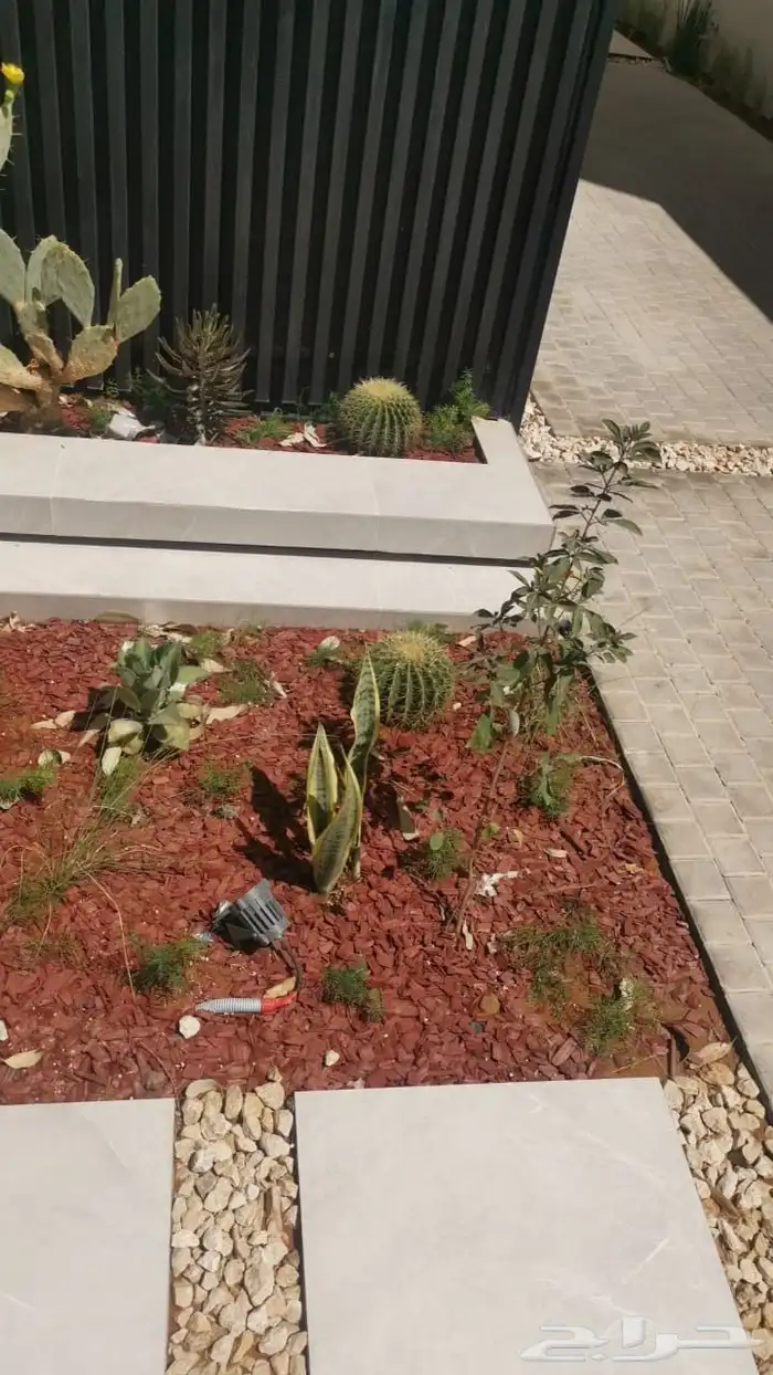 تنسيق حدائق زراعيه ابومحمد   الرياض 0