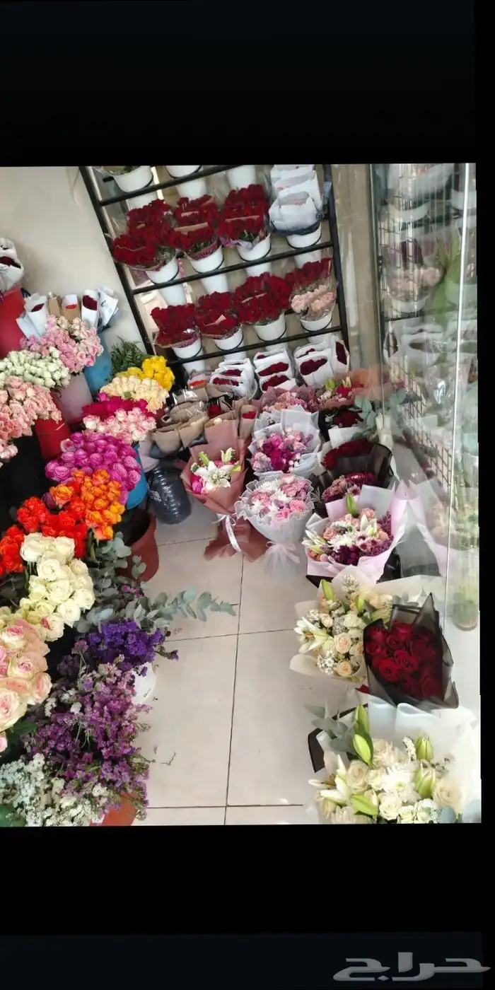 تنسيق زواج تنسيق كوش تنسيق ملكة مواليد 3