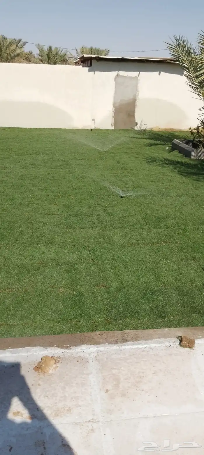 ثيل طبيعي حق الخرج 1