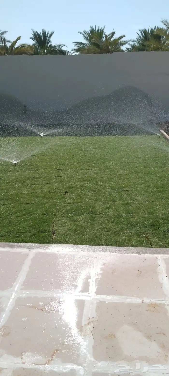 ثيل طبيعي حق الخرج 0