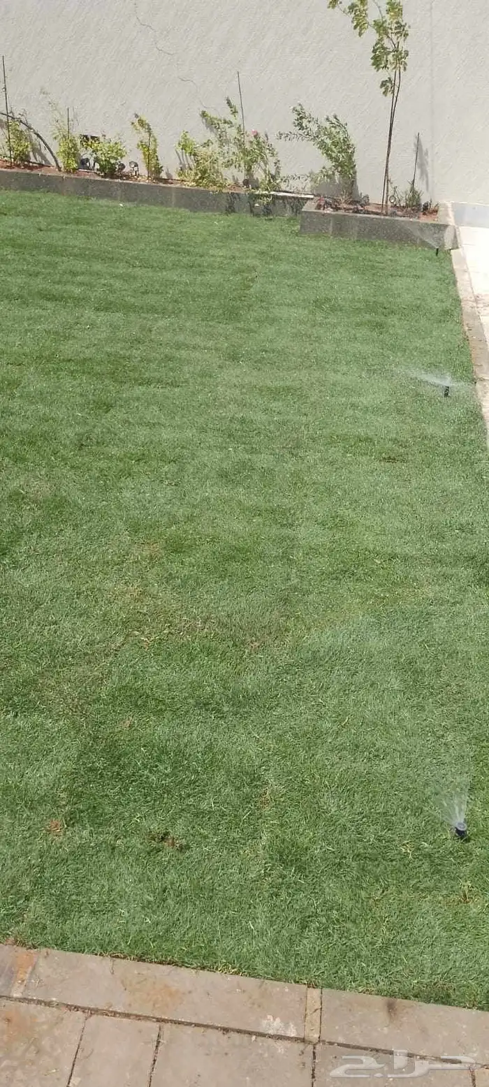 ثيل طبيعي حق الخرج 2