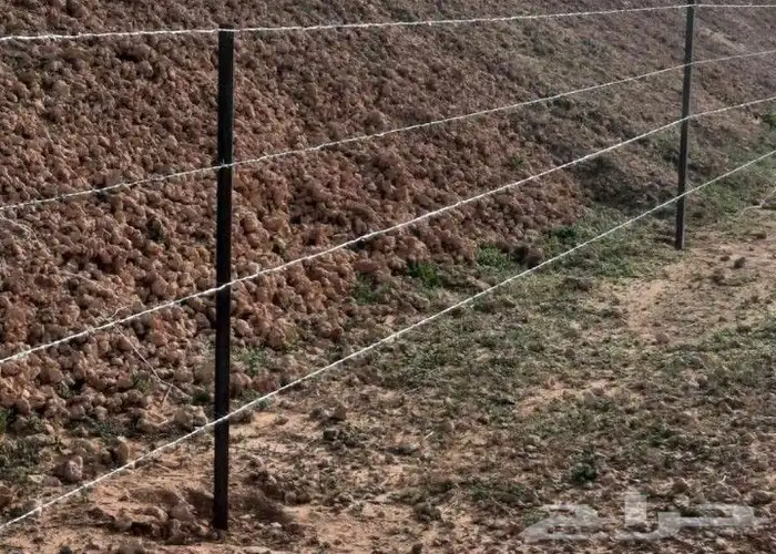 زراعه.النخيل.تركيب.شبوك 4