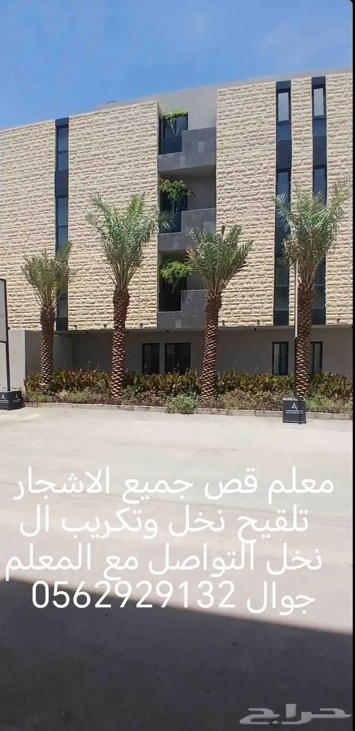 معلم قص جميع الاشجار تلقيح نخل وتكريب النخل 3