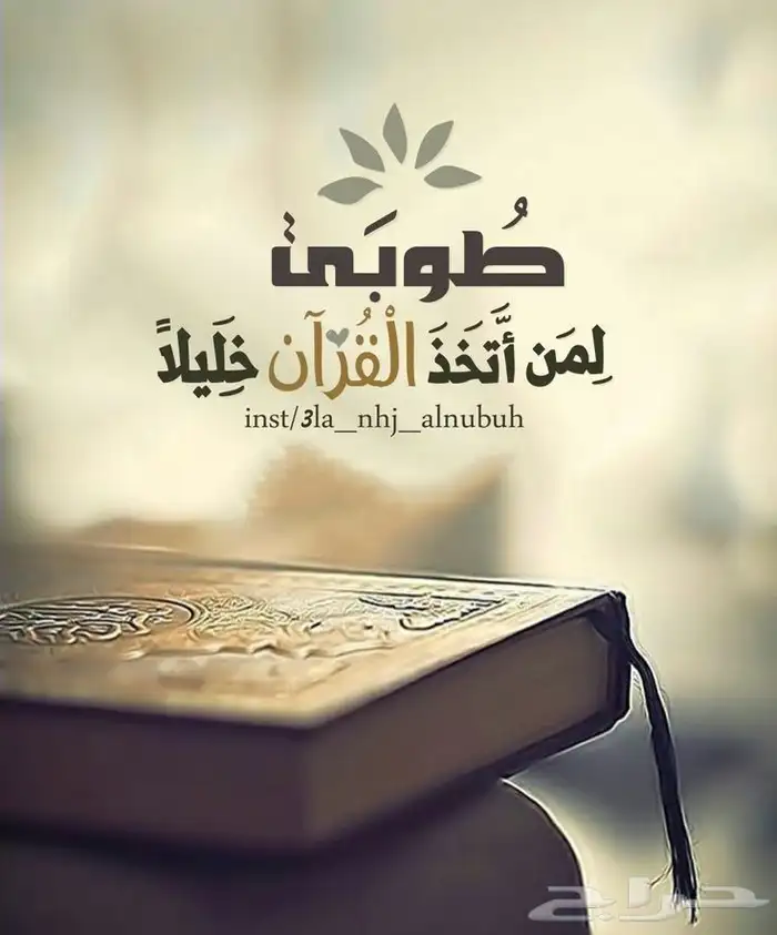 معلم قرآن وتفسير الآيات و تعليم القاعدة النورانية (اونلاين) 0