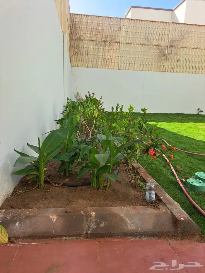 مؤسسة شوركلين 1