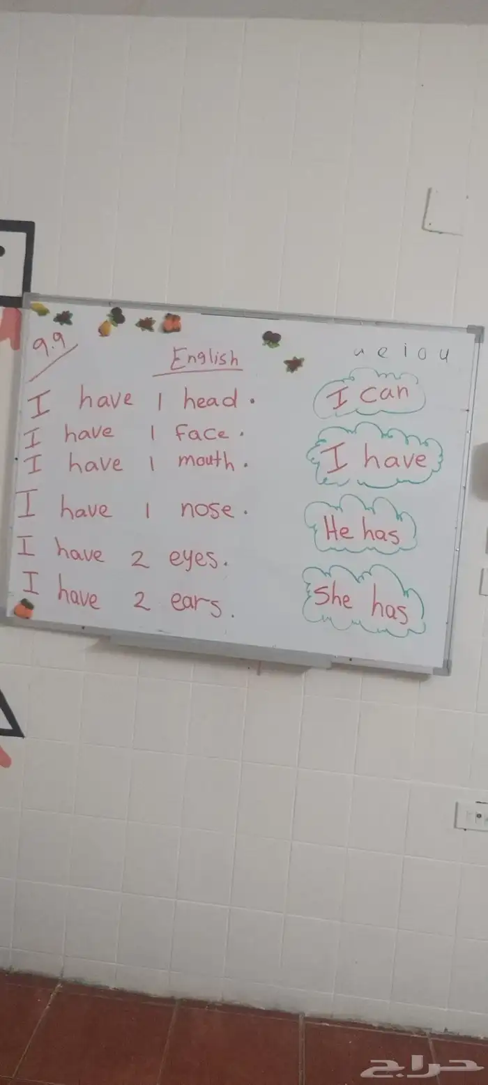 معلمه مصريه لغه انجليزيه دروس خصوصيه و تأسيس طفال 6