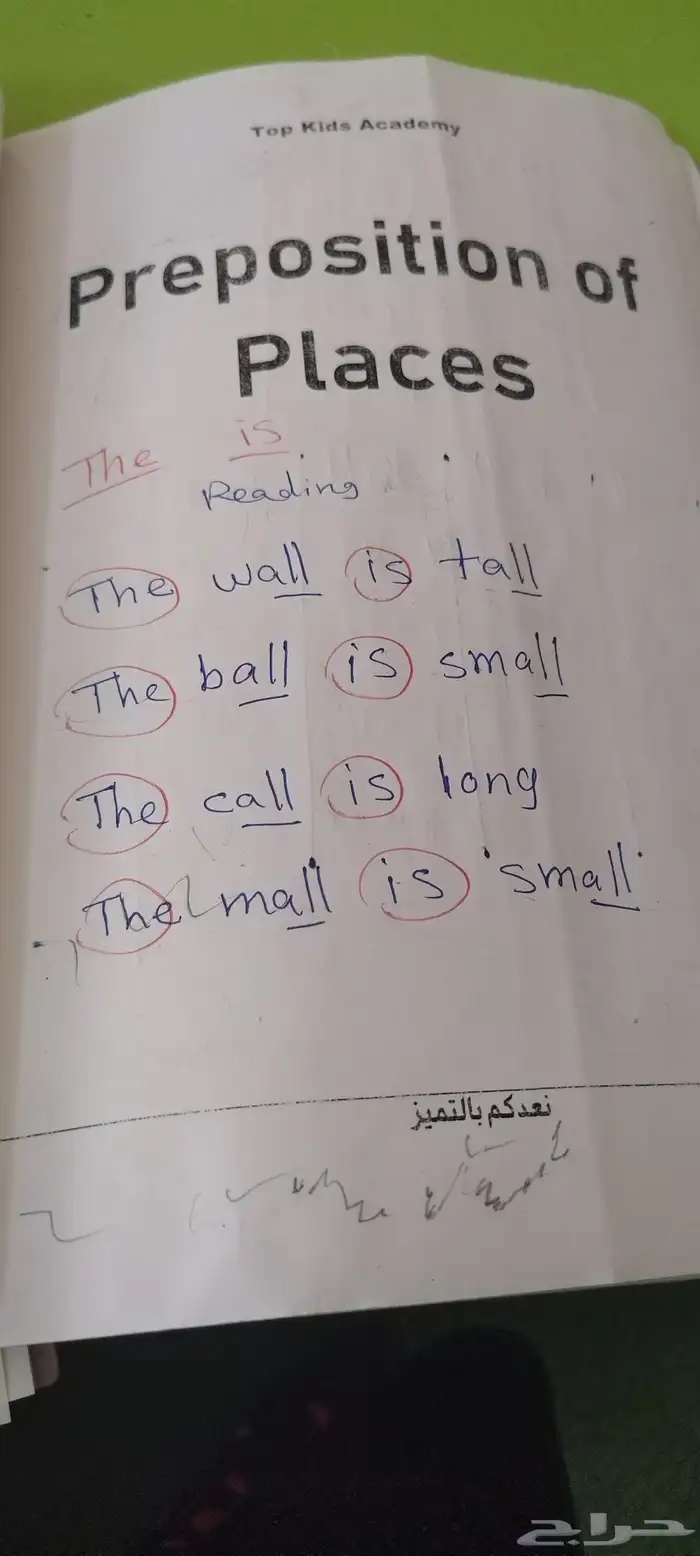 معلمه مصريه لغه انجليزيه دروس خصوصيه و تأسيس طفال 9