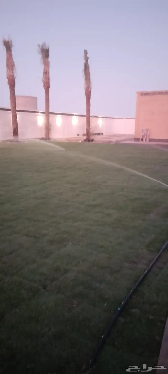ثيل طبيعي حق الخرج 8