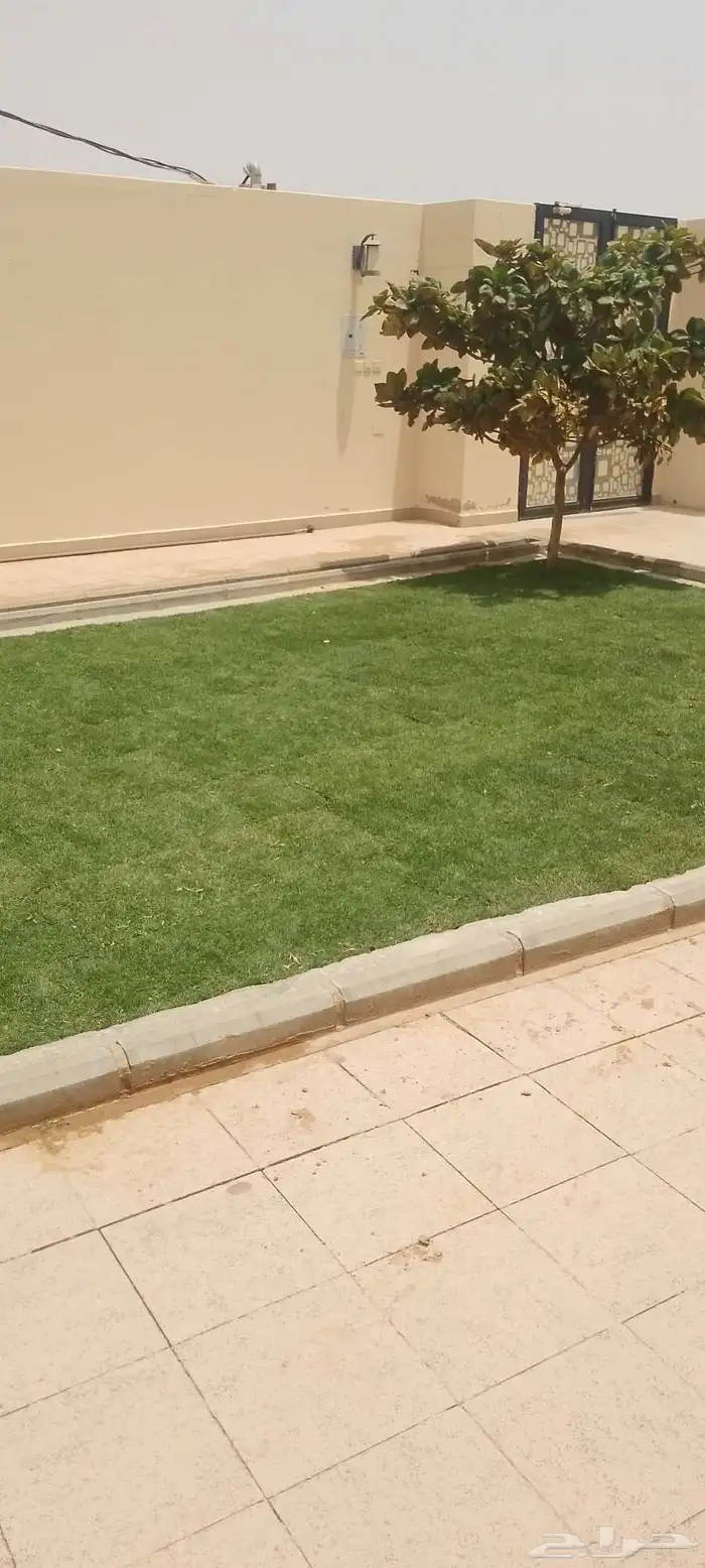 ثيل طبيعي حق الخرج 5