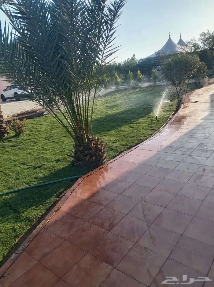 شبكات الري العادي ولاتوماتك 0