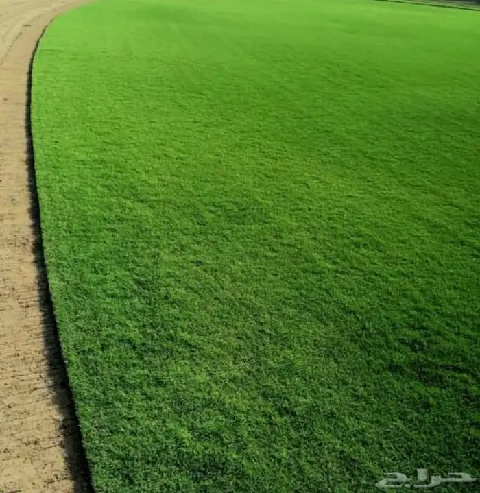 ثيل طبيعي C2000 درجه اولي 6