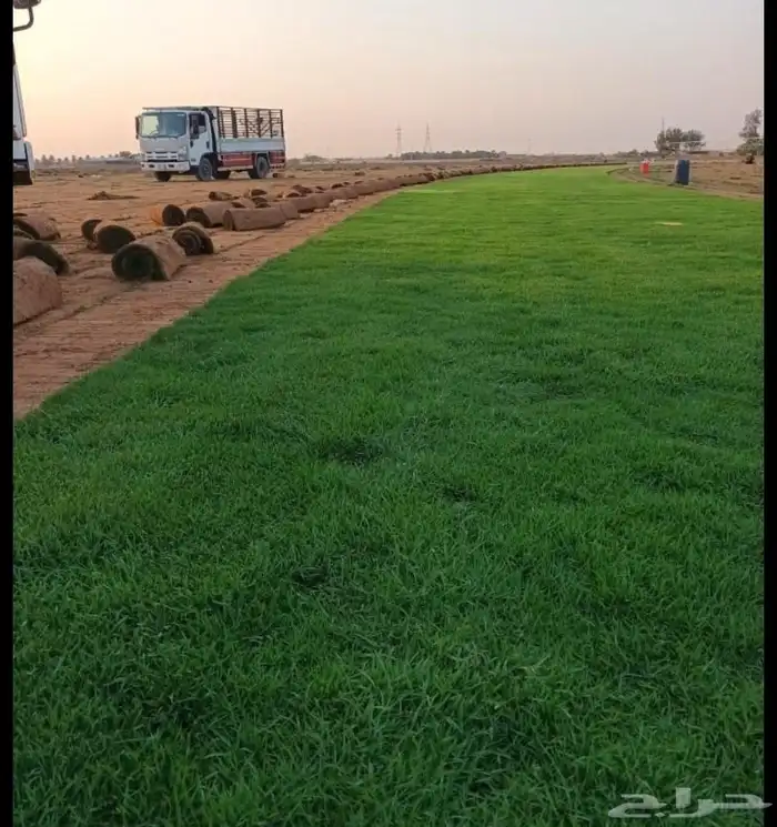 ثيل طبيعي C2000 درجه اولي 7