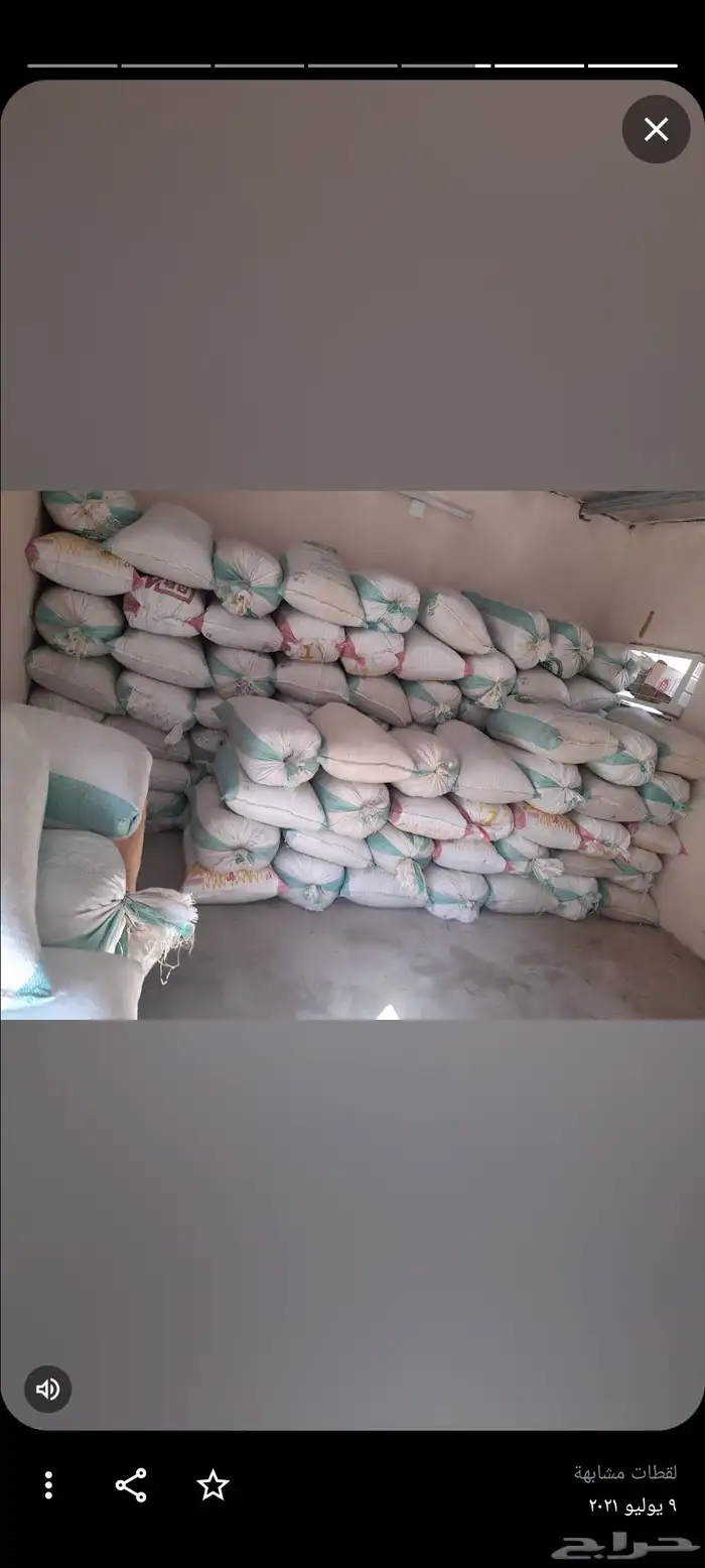 حناء المدينه انتاج مزارع ضواحي ينبع النخل 5