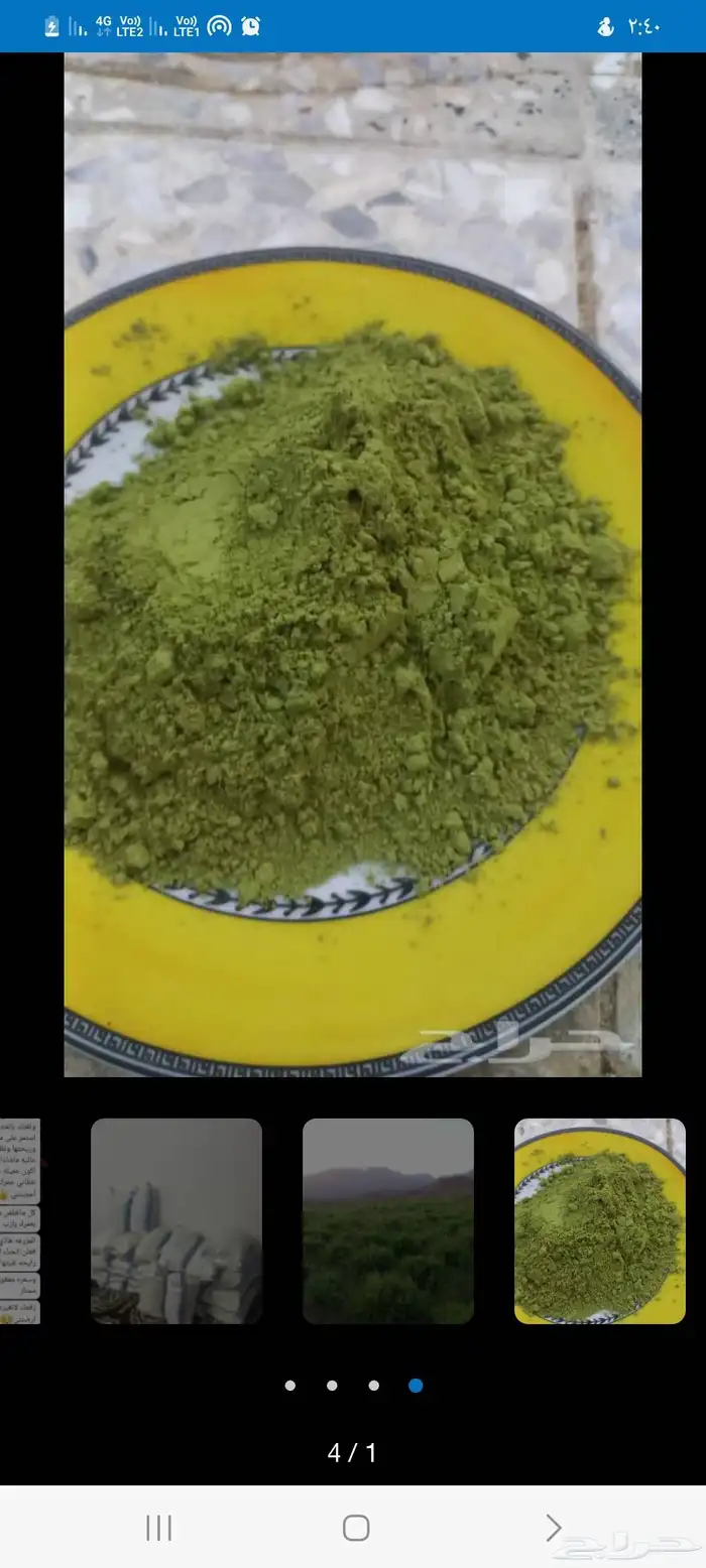 حناء المدينه انتاج مزارع ضواحي ينبع النخل 7