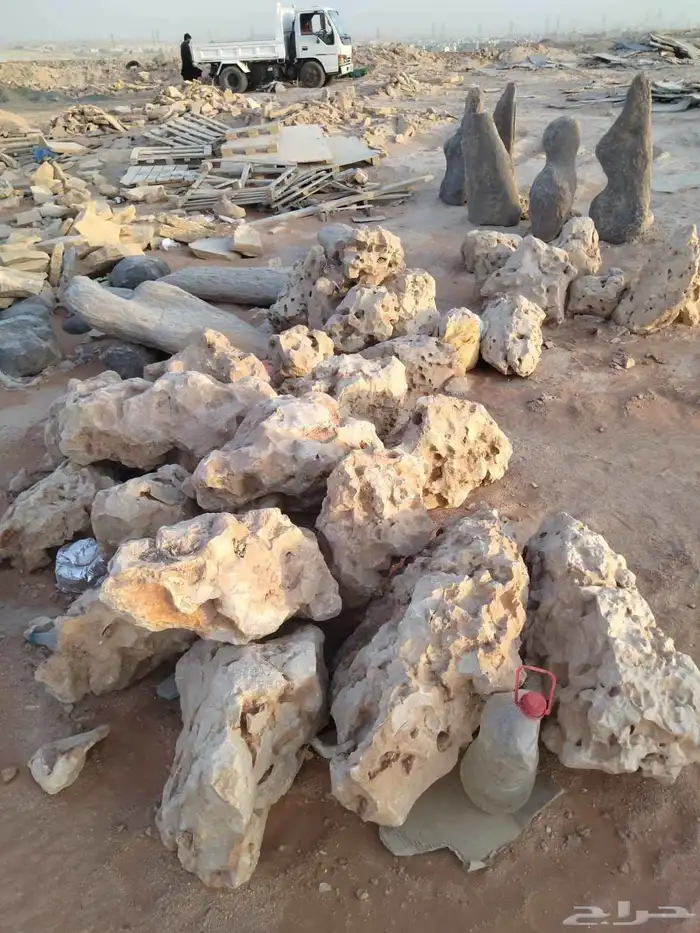 خجر دي ور موجود 8