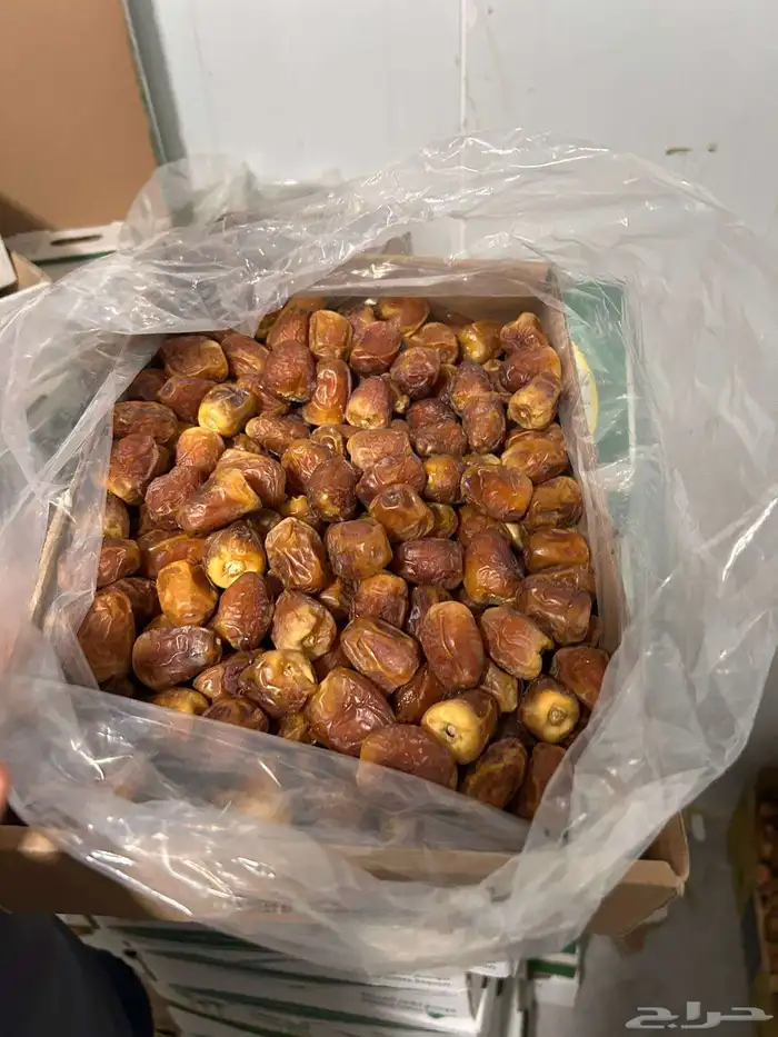 تمر سكري الكرتون 20ريال 1