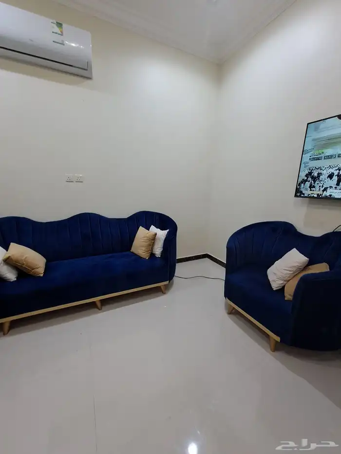 كنبات شبه جديده 2