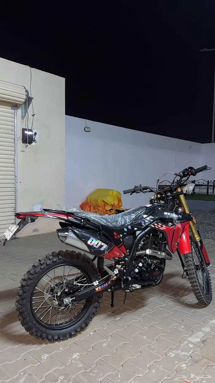 دباب صحراوي 3