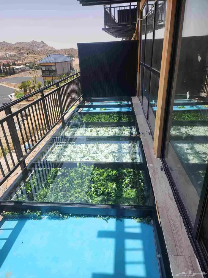 معلم قزازالسكريت والمرايا ولكسان والاستركشر 1