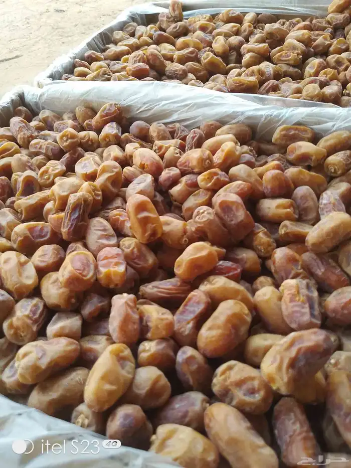 السلام عليكم ورحمه الله وبركاته يوجد تمر خلاص اللبيع 3
