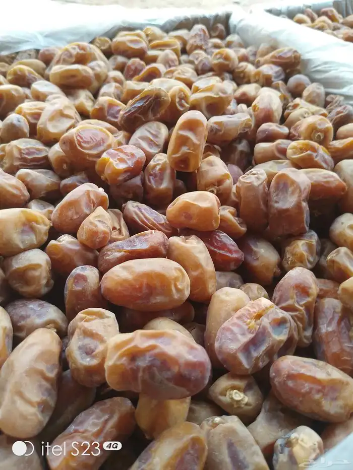 السلام عليكم ورحمه الله وبركاته يوجد تمر خلاص اللبيع 1