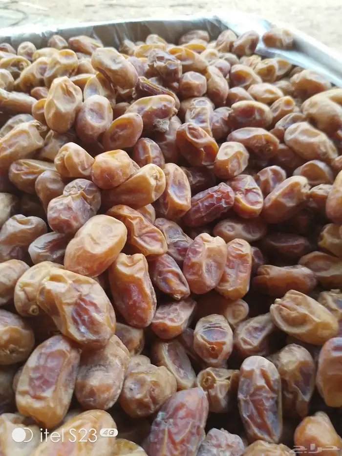السلام عليكم ورحمه الله وبركاته يوجد تمر خلاص اللبيع 2