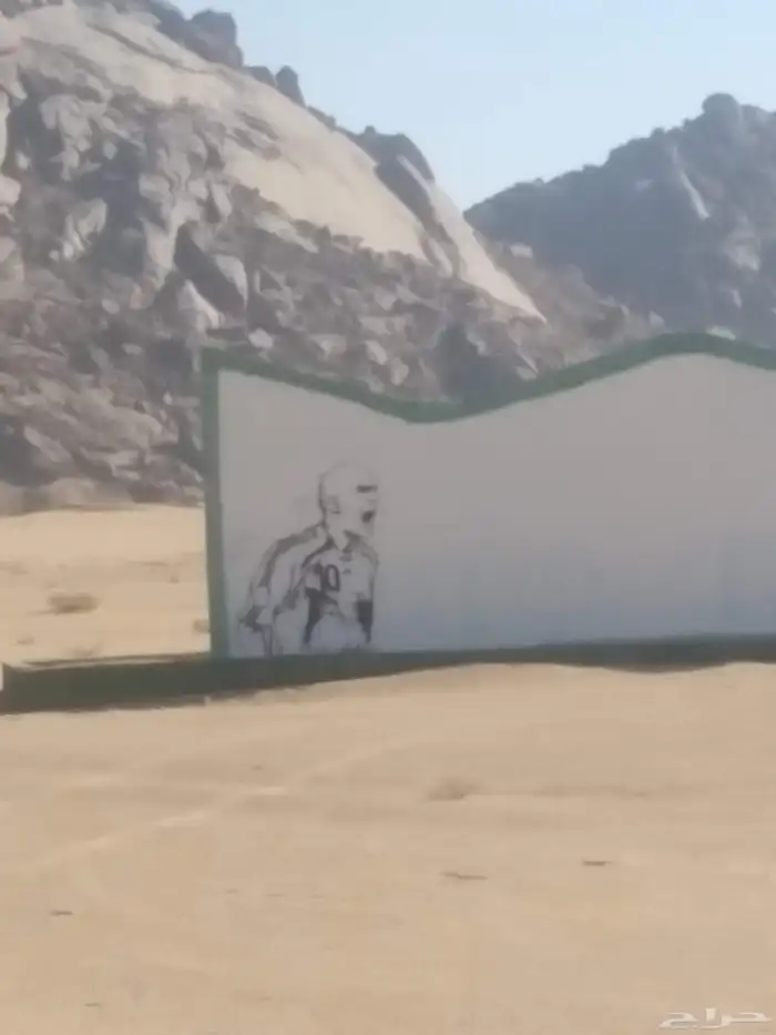 رسم سيارات للبيع 7