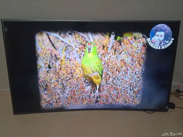شاشة سامسونج سمارت كيرف للبيع 2