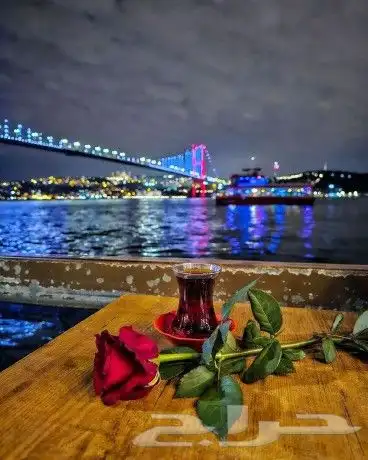 يوجد لدينا تاشيرات فيزا لتركيا 3