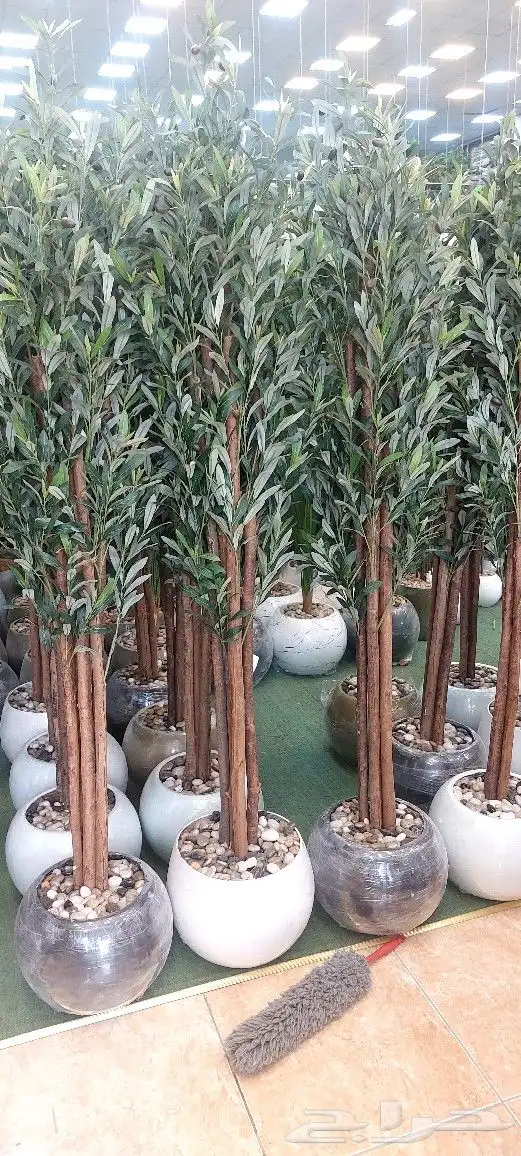 اشجار صناعية ذات جوده عاليه شكل جمال مهجن ومحنط 2