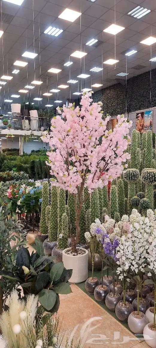 اشجار صناعية ذات جوده عاليه شكل جمال مهجن ومحنط 0