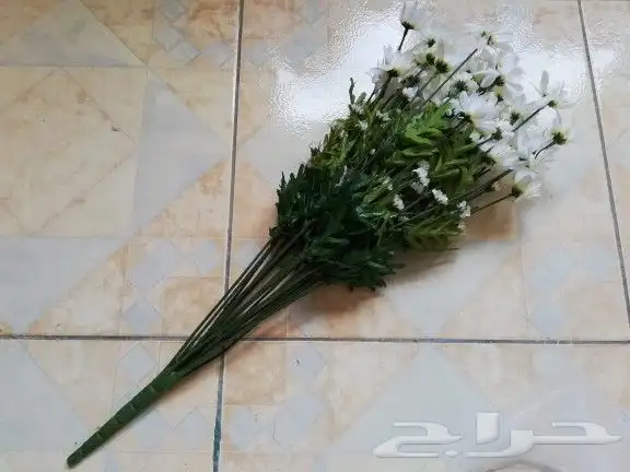 أثاث واغراض منوع للبيع 31