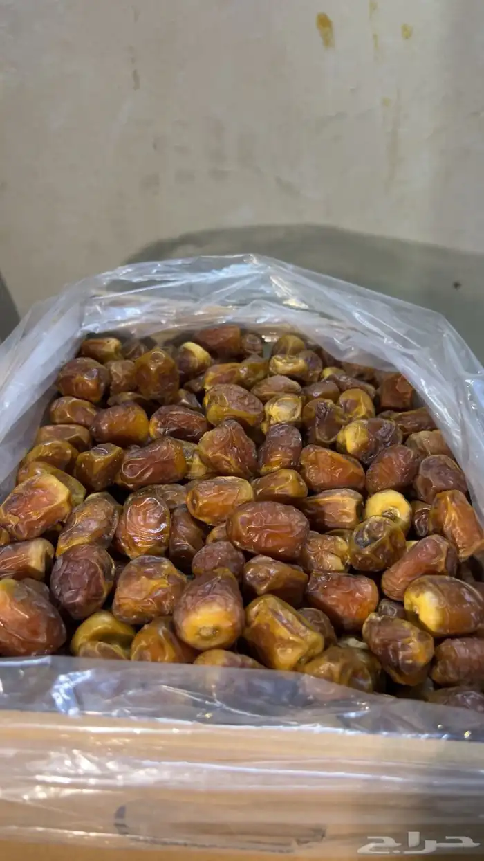 تمر سكري الكرتون 20ريال 2