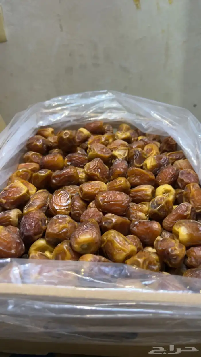 تمر سكري الكرتون 20ريال 3