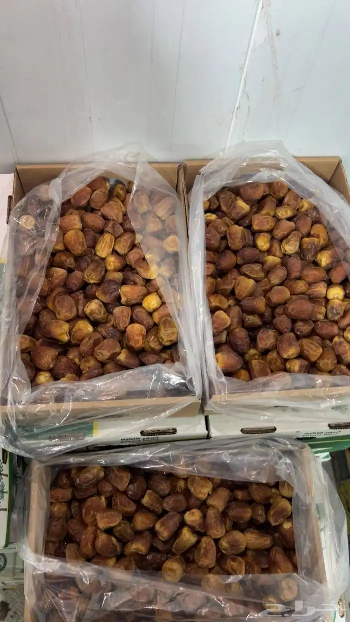 تمر سكري الكرتون 20ريال 0