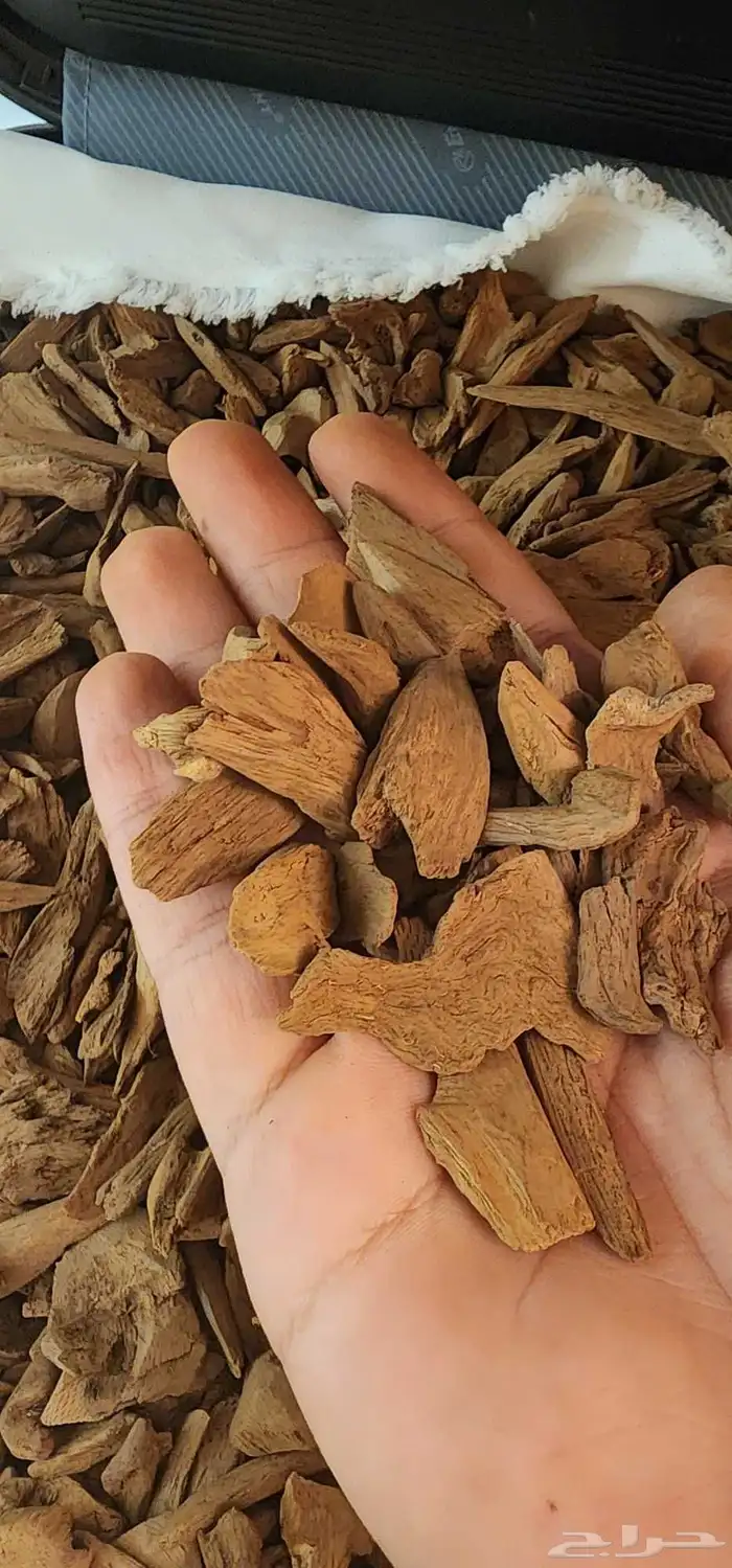 مروكي طبيعي ميني سوبر 0