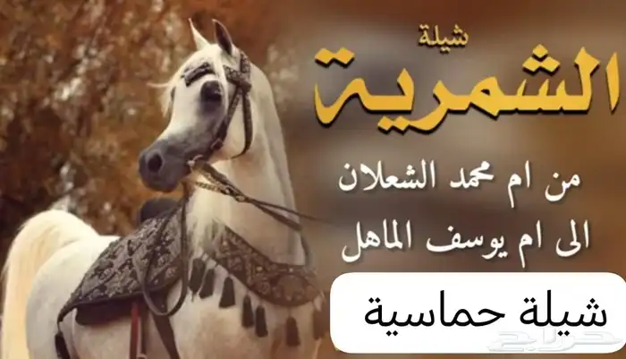 زفات  زفه  زفات_عرايس  زفات_بالاسماء   زف 2