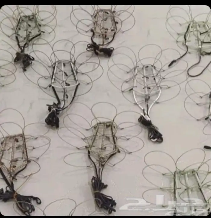 قرشعات شبك طرح الصقور السعر موجد بالإعلان 11