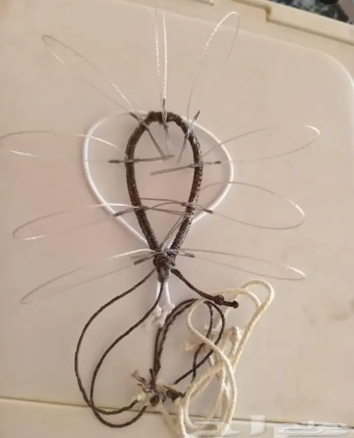 قرشعات شبك طرح الصقور السعر موجد بالإعلان 20